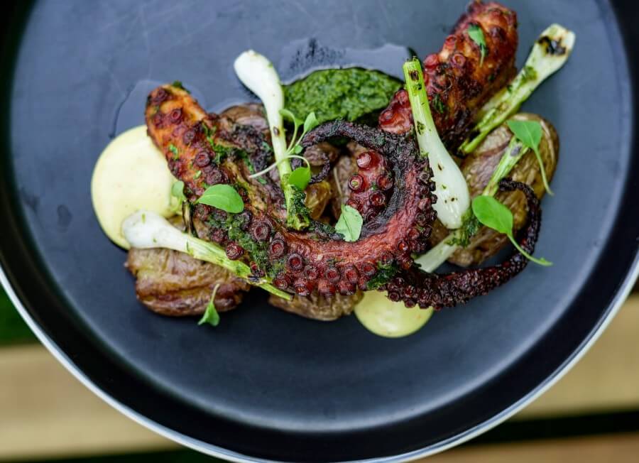 Grilled octopus and vegetables